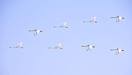 《赛博朋克2077：往日之影》2.02更新现已上线